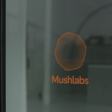 Saskia Rosendahl Marketing Projekt Logo Mushlabs